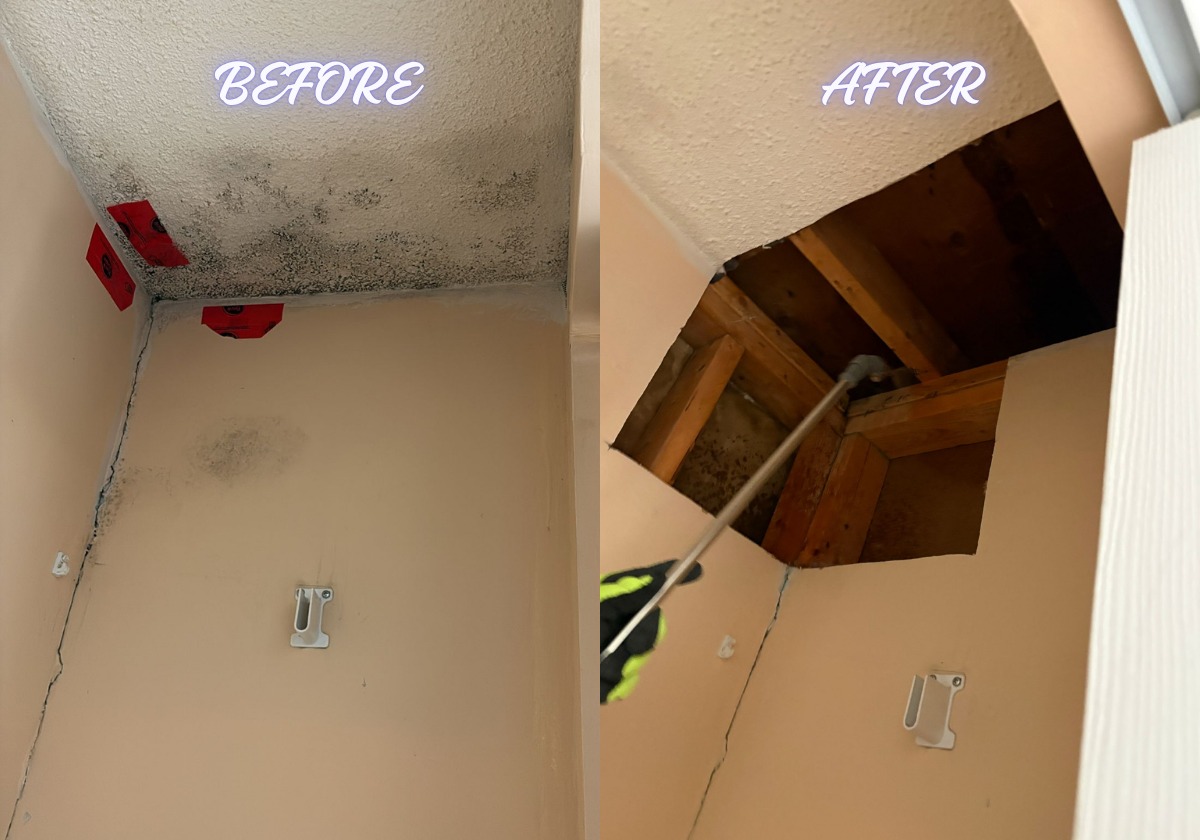 Basement mould removal and drywall restoration
