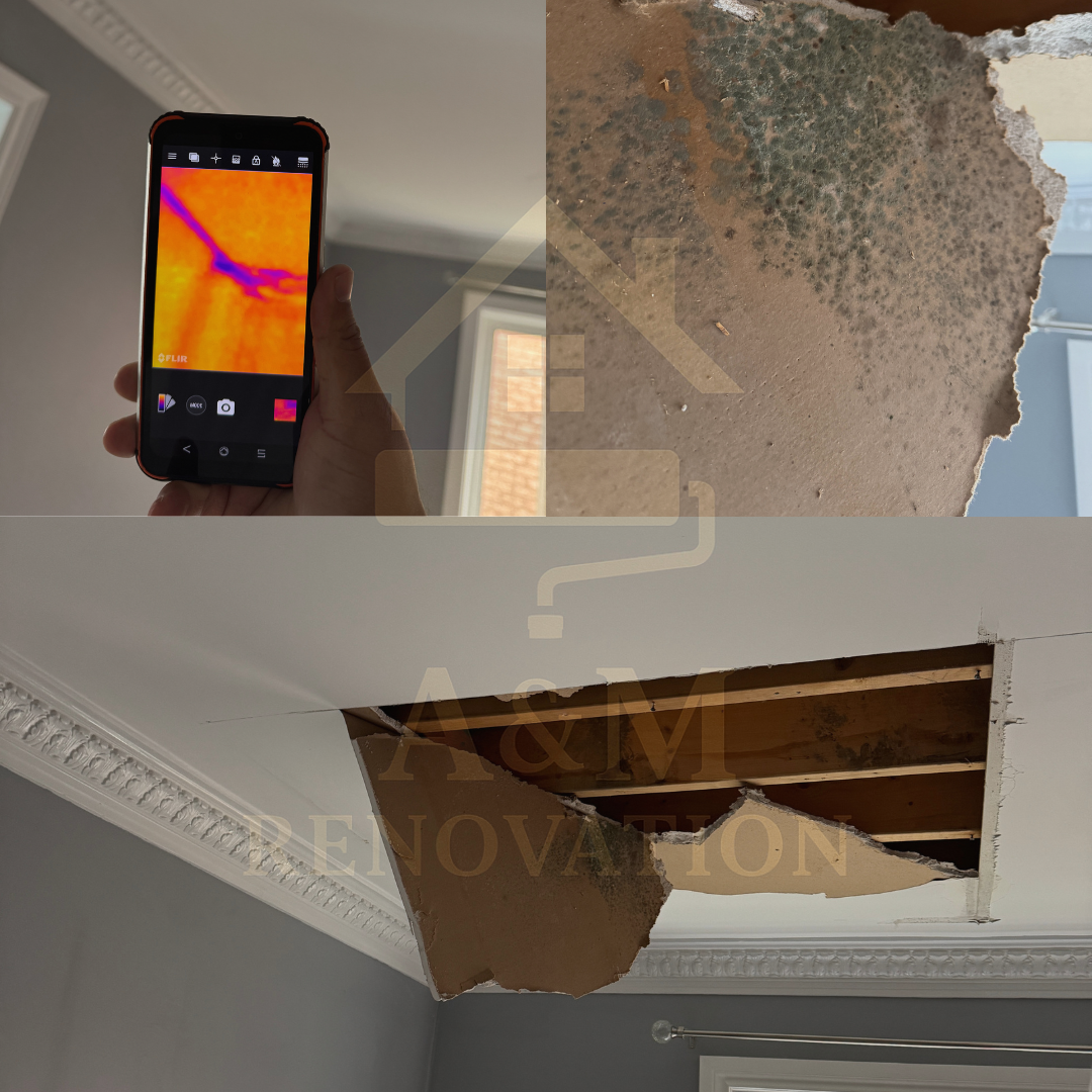 Water leak detection and moisture investigation